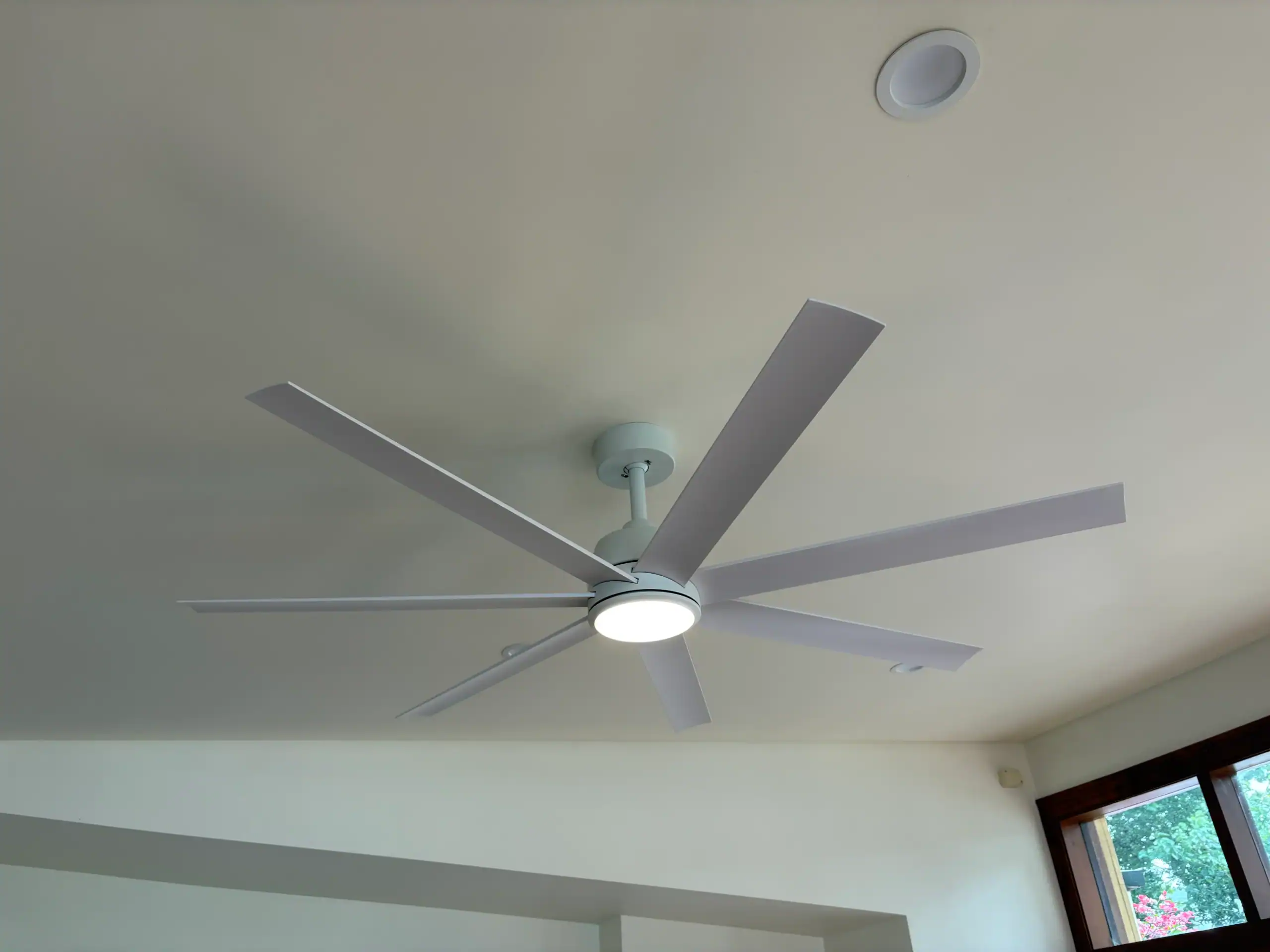 Ceiling fan and lighting in a Balmain home