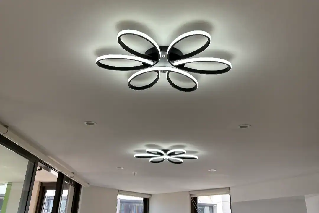 Downlights installed in a Lane Cove home